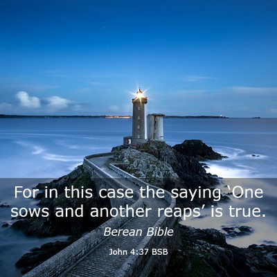 Picture 03 - John 4:37 BSB - For in this case the saying ‘One sows and - Bible Verse Picture