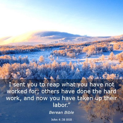 Picture 03 - John 4:38 BSB - I sent you to reap what you have not worked for; - Bible Verse Picture