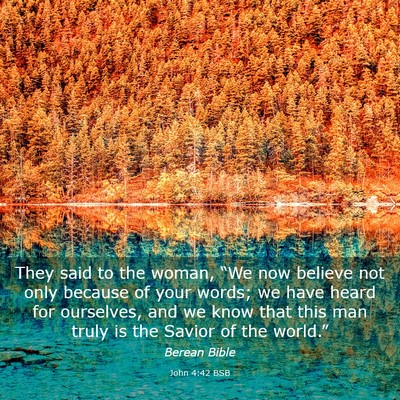 Picture 03 - John 4:42 BSB - They said to the woman, “We now believe not - Bible Verse Picture