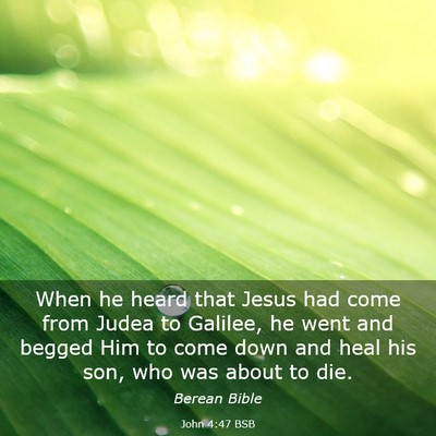 Picture 03 - John 4:47 BSB - When he heard that Jesus had come from Judea to - Bible Verse Picture