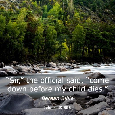 Picture 03 - John 4:49 BSB - “Sir,” the official said, “come down before - Bible Verse Picture
