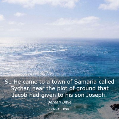 Picture 03 - John 4:5 BSB - So He came to a town of Samaria called Sychar, - Bible Verse Picture
