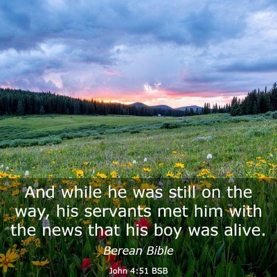 Picture 03 - John 4:51 BSB - And while he was still on the way, his servants - Bible Verse Picture