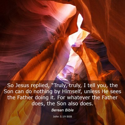 Picture 03 - John 5:19 BSB - So Jesus replied, “Truly, truly, I tell you, - Bible Verse Picture