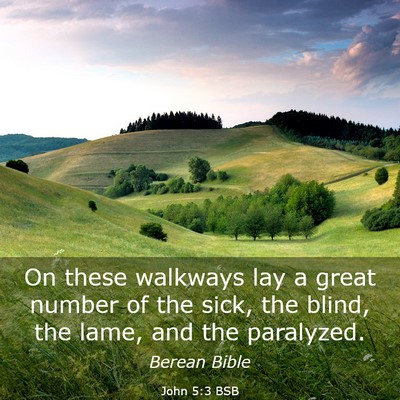 Picture 03 - John 5:3 BSB - On these walkways lay a great number of the sick, - Bible Verse Picture