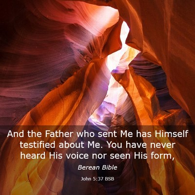 Picture 03 - John 5:37 BSB - And the Father who sent Me has Himself testified - Bible Verse Picture