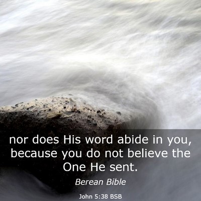 Picture 03 - John 5:38 BSB - nor does His word abide in you, because you do - Bible Verse Picture