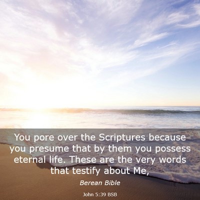 Picture 03 - John 5:39 BSB - You pore over the Scriptures because you presume - Bible Verse Picture