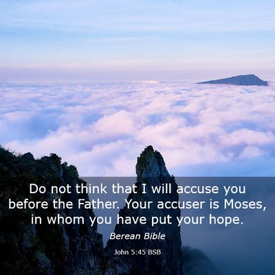 Picture 03 - John 5:45 BSB - Do not think that I will accuse you before the - Bible Verse Picture