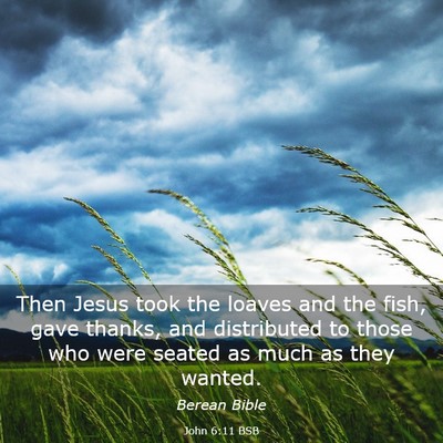 Picture 03 - John 6:11 BSB - Then Jesus took the loaves and the fish, gave - Bible Verse Picture