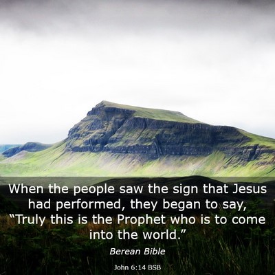 Picture 03 - John 6:14 BSB - When the people saw the sign that Jesus had - Bible Verse Picture