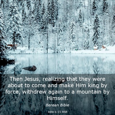 Picture 03 - John 6:15 BSB - Then Jesus, realizing that they were about to - Bible Verse Picture
