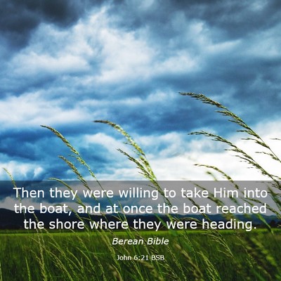 Picture 03 - John 6:21 BSB - Then they were willing to take Him into the boat, - Bible Verse Picture