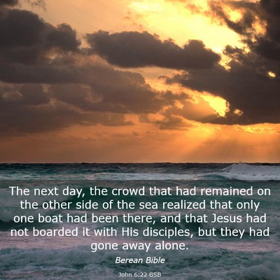 Picture 03 - John 6:22 BSB - The next day, the crowd that had remained on the - Bible Verse Picture