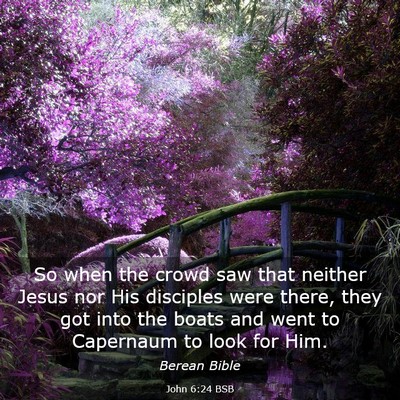 Picture 03 - John 6:24 BSB - So when the crowd saw that neither Jesus nor His - Bible Verse Picture