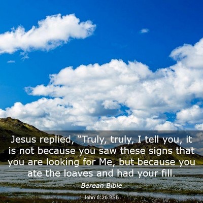 Picture 03 - John 6:26 BSB - Jesus replied, “Truly, truly, I tell you, it is - Bible Verse Picture