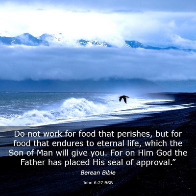 Picture 03 - John 6:27 BSB - Do not work for food that perishes, but for food - Bible Verse Picture