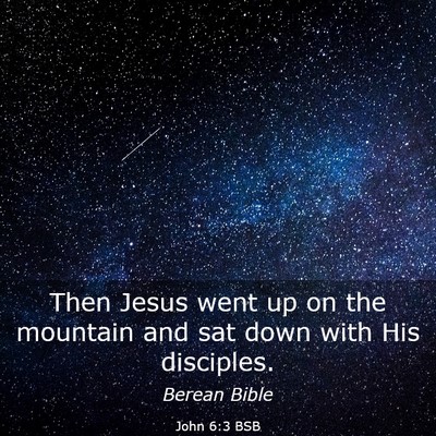 Picture 03 - John 6:3 BSB - Then Jesus went up on the mountain and sat down - Bible Verse Picture