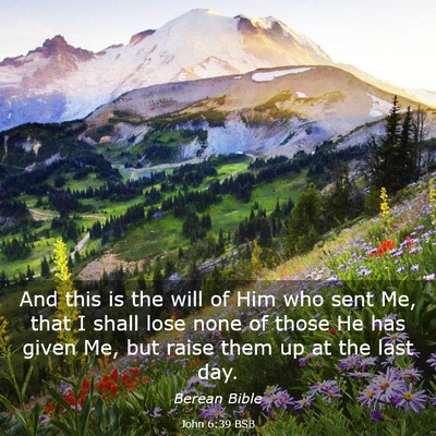 Picture 03 - John 6:39 BSB - And this is the will of Him who sent Me, that I - Bible Verse Picture