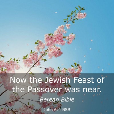 Picture 03 - John 6:4 BSB - Now the Jewish Feast of the Passover was - Bible Verse Picture