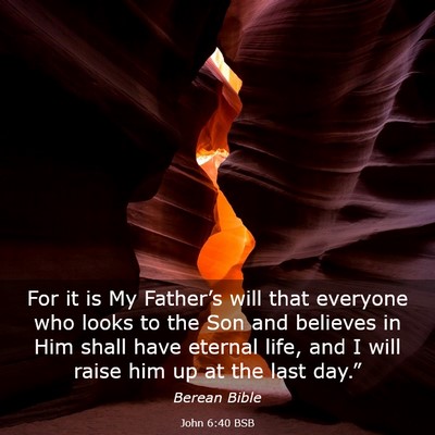 Picture 03 - John 6:40 BSB - For it is My Father’s will that everyone who - Bible Verse Picture