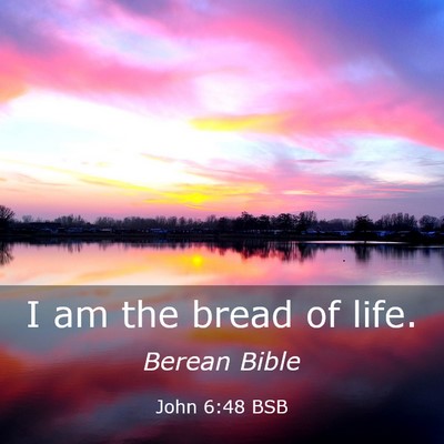 Picture 03 - John 6:48 BSB - I am the bread of - Bible Verse Picture