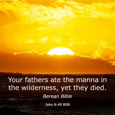 Picture 03 - John 6:49 BSB - Your fathers ate the manna in the wilderness, yet - Bible Verse Picture