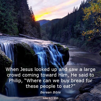 Picture 03 - John 6:5 BSB - When Jesus looked up and saw a large crowd coming - Bible Verse Picture