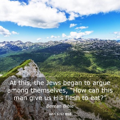 Picture 03 - John 6:52 BSB - At this, the Jews began to argue among - Bible Verse Picture