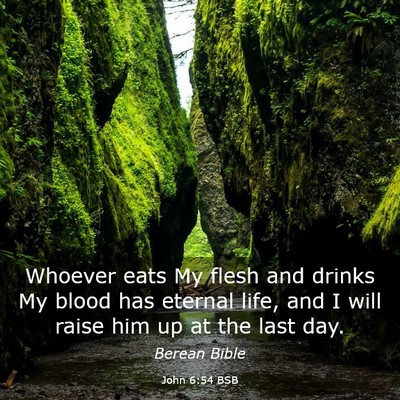 Picture 03 - John 6:54 BSB - Whoever eats My flesh and drinks My blood has - Bible Verse Picture