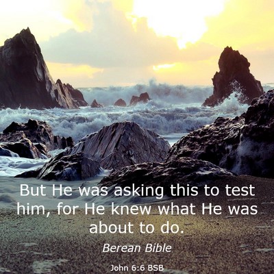 Picture 03 - John 6:6 BSB - But He was asking this to test him, for He knew - Bible Verse Picture