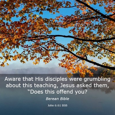 Picture 03 - John 6:61 BSB - Aware that His disciples were grumbling about - Bible Verse Picture