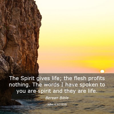 Picture 03 - John 6:63 BSB - The Spirit gives life; the flesh profits nothing. - Bible Verse Picture