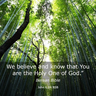Picture 03 - John 6:69 BSB - We believe and know that You are the Holy One of - Bible Verse Picture