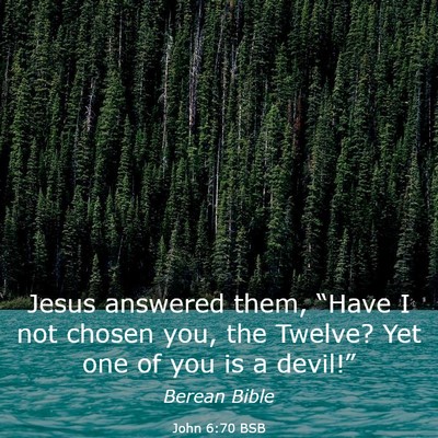 Picture 03 - John 6:70 BSB - Jesus answered them, “Have I not chosen you, - Bible Verse Picture