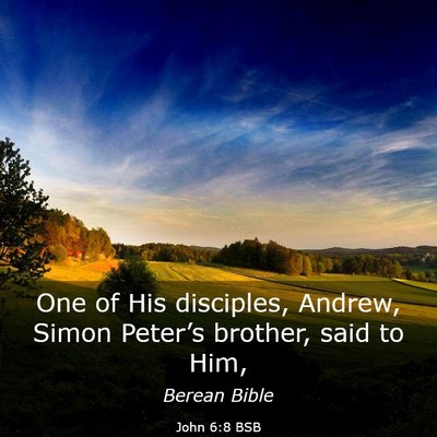 Picture 03 - John 6:8 BSB - One of His disciples, Andrew, Simon Peter’s - Bible Verse Picture
