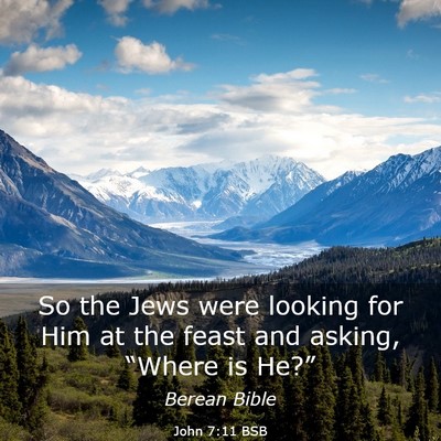 Picture 03 - John 7:11 BSB - So the Jews were looking for Him at the feast and - Bible Verse Picture