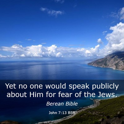 Picture 03 - John 7:13 BSB - Yet no one would speak publicly about Him for - Bible Verse Picture