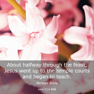 Picture 03 - John 7:14 BSB - About halfway through the feast, Jesus went up to - Bible Verse Picture