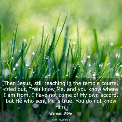 Picture 03 - John 7:28 BSB - Then Jesus, still teaching in the temple courts, - Bible Verse Picture