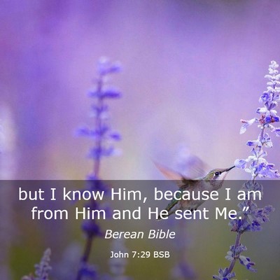 Picture 03 - John 7:29 BSB - but I know Him, because I am from Him and He sent - Bible Verse Picture