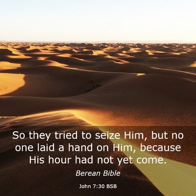 Picture 03 - John 7:30 BSB - So they tried to seize Him, but no one laid a - Bible Verse Picture