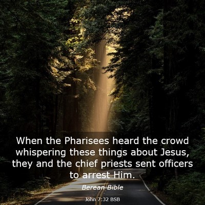 Picture 03 - John 7:32 BSB - When the Pharisees heard the crowd whispering - Bible Verse Picture