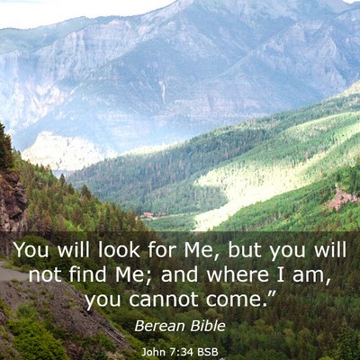 Picture 03 - John 7:34 BSB - You will look for Me, but you will not find Me; - Bible Verse Picture