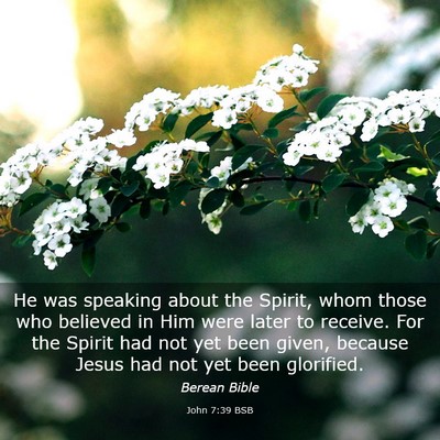 Picture 03 - John 7:39 BSB - He was speaking about the Spirit, whom those who - Bible Verse Picture