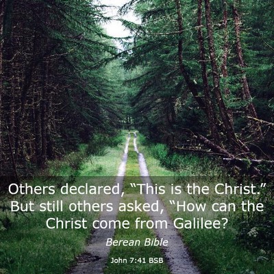 Picture 03 - John 7:41 BSB - Others declared, “This is the Christ.” But - Bible Verse Picture