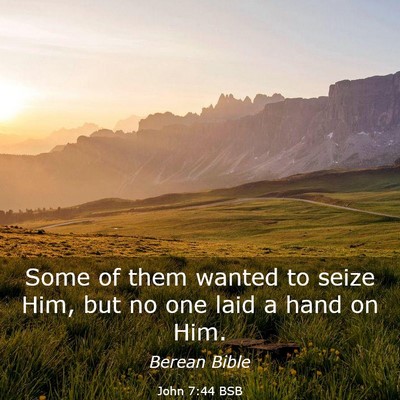 Picture 03 - John 7:44 BSB - Some of them wanted to seize Him, but no one laid - Bible Verse Picture