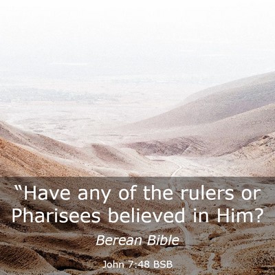 Picture 03 - John 7:48 BSB - “Have any of the rulers or Pharisees believed - Bible Verse Picture