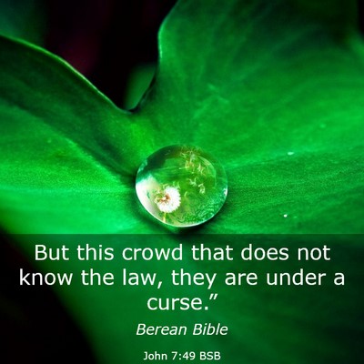 Picture 03 - John 7:49 BSB - But this crowd that does not know the law, they - Bible Verse Picture