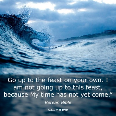 Picture 03 - John 7:8 BSB - Go up to the feast on your own. I am not going up - Bible Verse Picture